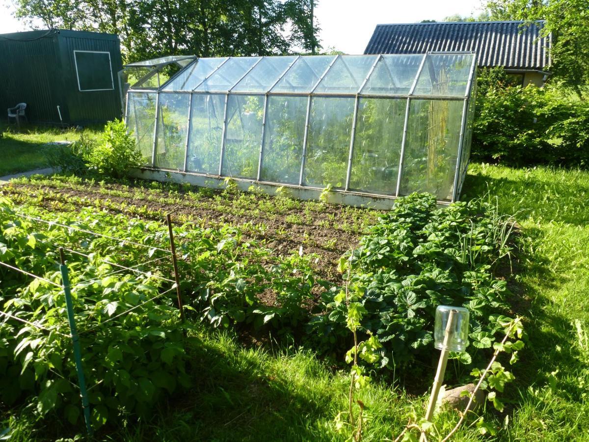 Traumhaftes Luxus-Ferienhaus Warnkenhagen  外观 照片